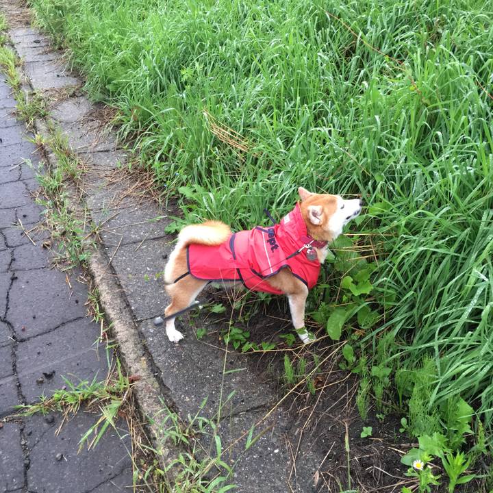 33bfeb98 48fe 49e0 b077 ee770f3a2956