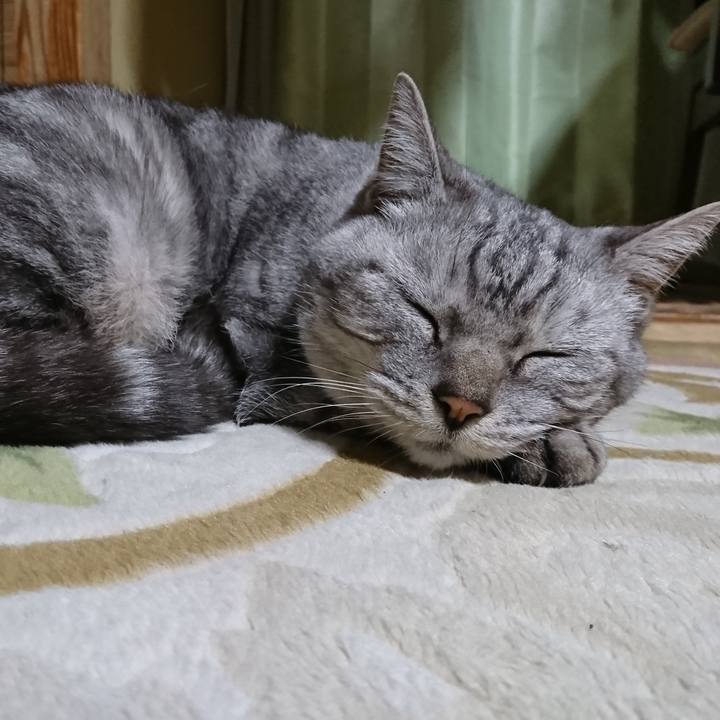 33c0f74d f943 480f b827 f7876c3870a1