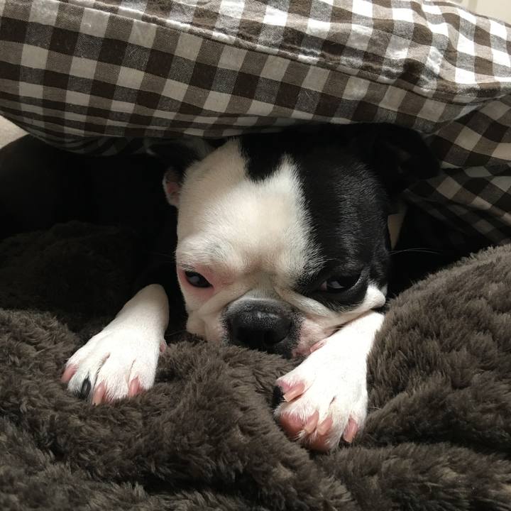 33c13714 f309 412b ba70 15cf7dcef328