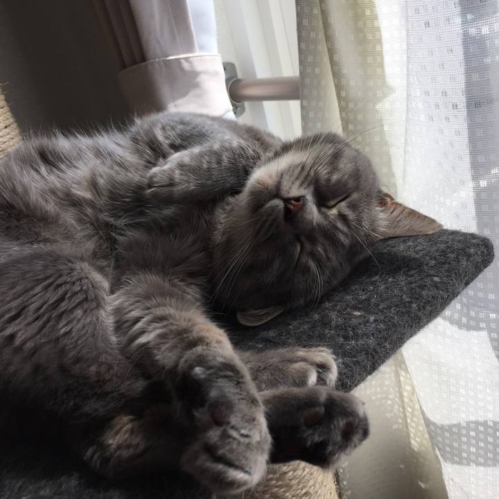 33c158ab 26b7 4ff8 b82b 695eafa48e3f