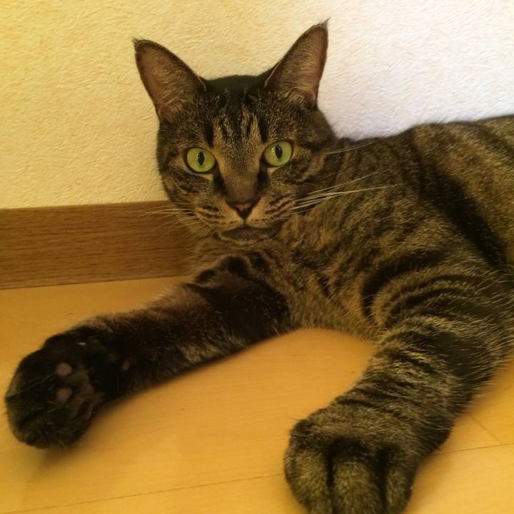 33c1687b 9d70 4262 bbbb b5469825212c