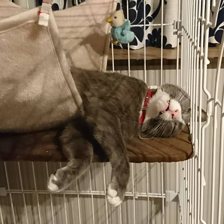 33c24898 40a0 43d9 8f8f ab512a39a7ae