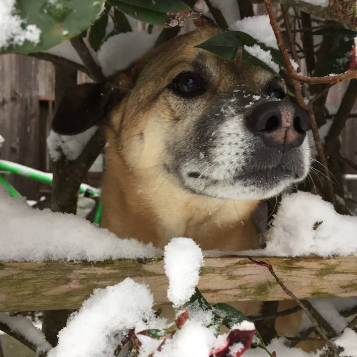 33c29fec 8f74 4030 b7cb 7565141502ff