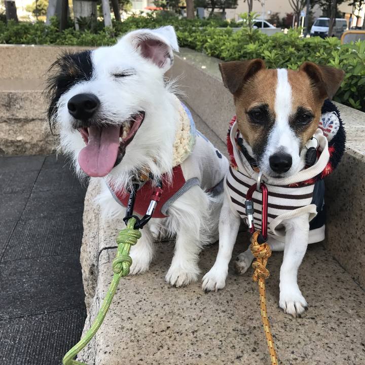 33c3053a 9277 435f 886e 628e2b92753e