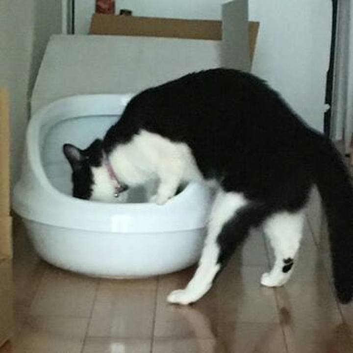 33c36b0f ca36 4f66 820d e0e40d8f4365