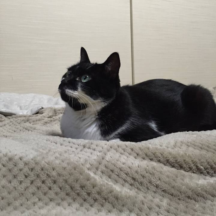 33c38f7d c0d1 4246 b713 f186b02e5f70