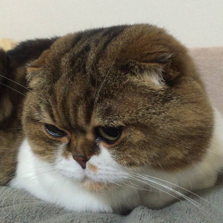 33c3933f 056e 404e bcea 36f1d533d8f2