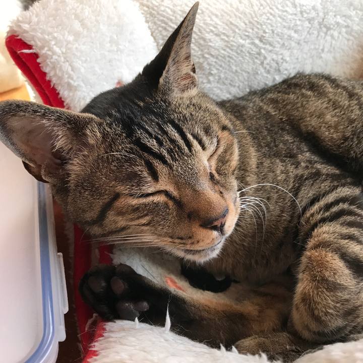 33c3e010 467d 42aa 91df 0339ea57d48a