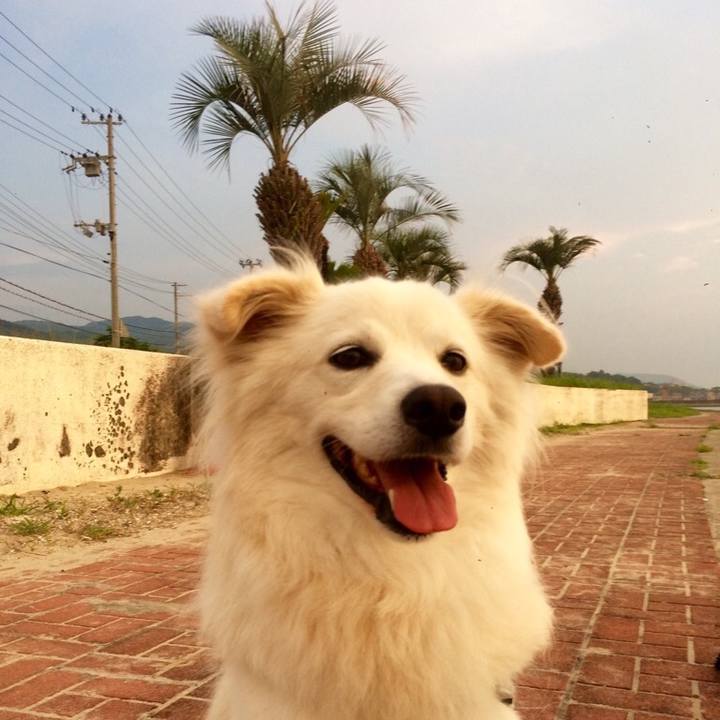 33c3e6fc f45c 4b6e a3ea 482e0bd4f2f6