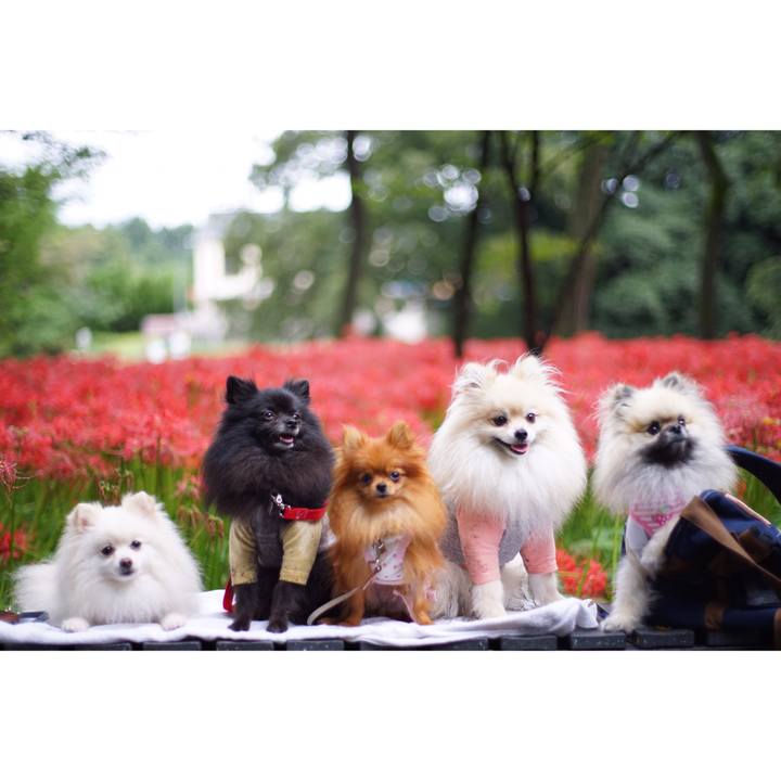 33c41d41 4e64 4f36 94f4 6329245f7c38