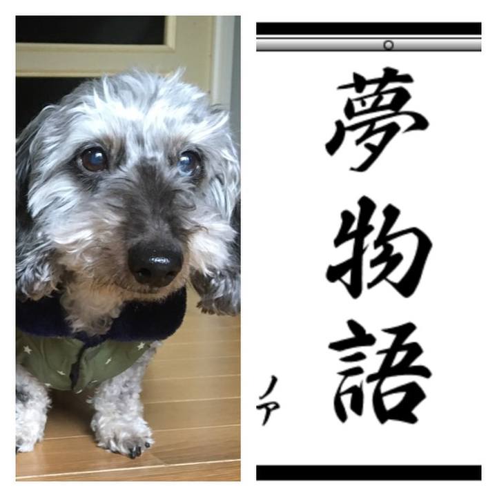 33c4fa1b fb3f 4dcf baf3 61ea3f950d8d