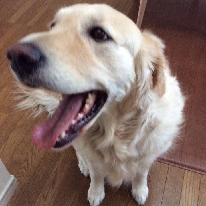 33c516e0 c43b 413f 93d9 b94430bdf97e