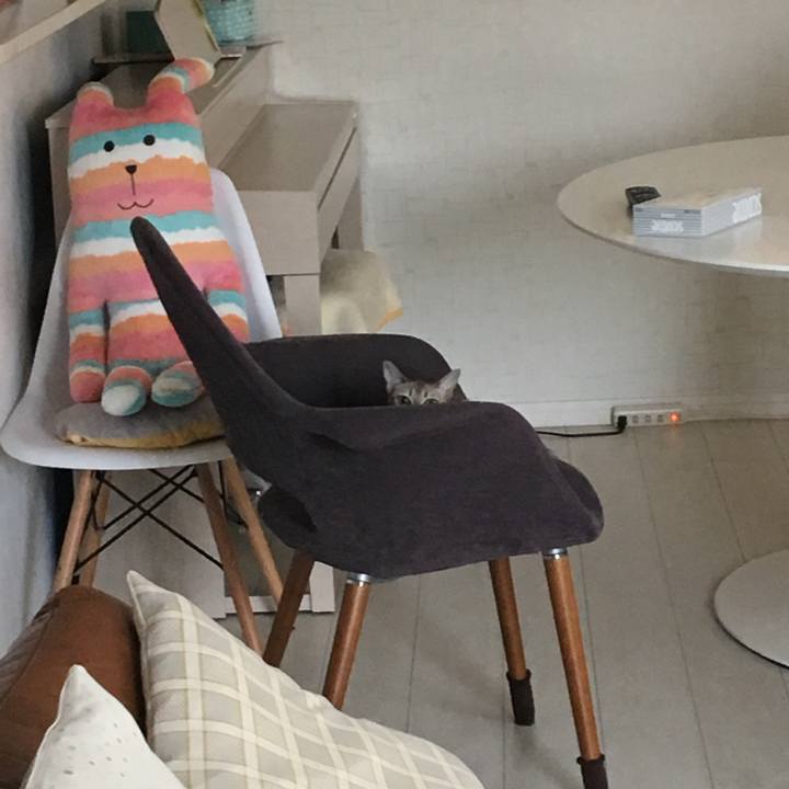 33c53802 76bf 4ca2 9854 fa6bb9bfe262