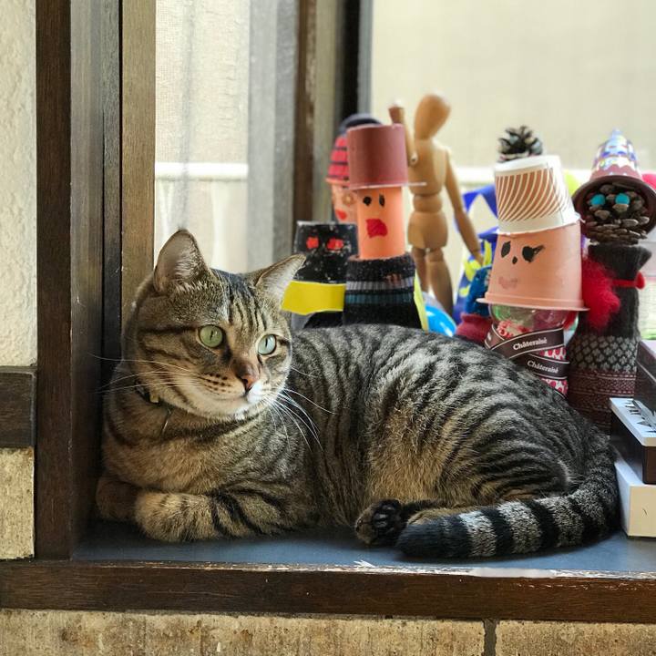 33c66d35 e474 4e44 bf1b 76ff3d795b4a