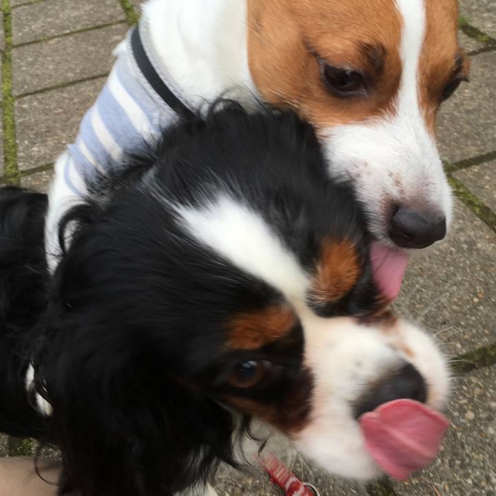 33c71619 ea74 488d 8dd2 c1d2eeec71d4