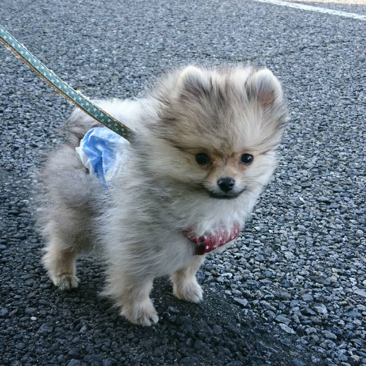 33c79a2e bd12 4af1 a0fd 07170aee303f