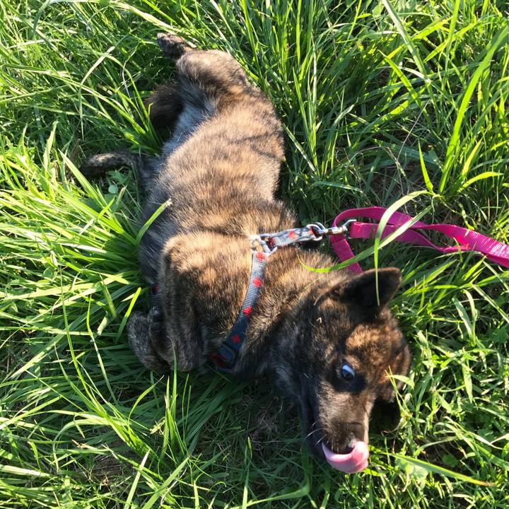 33c7d392 9f50 4111 be86 2c6bf6a7aa43