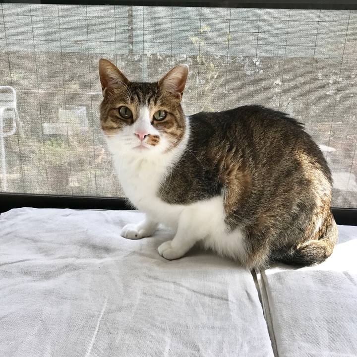 33c7db9b 0e26 4286 a3f5 990e203311dd