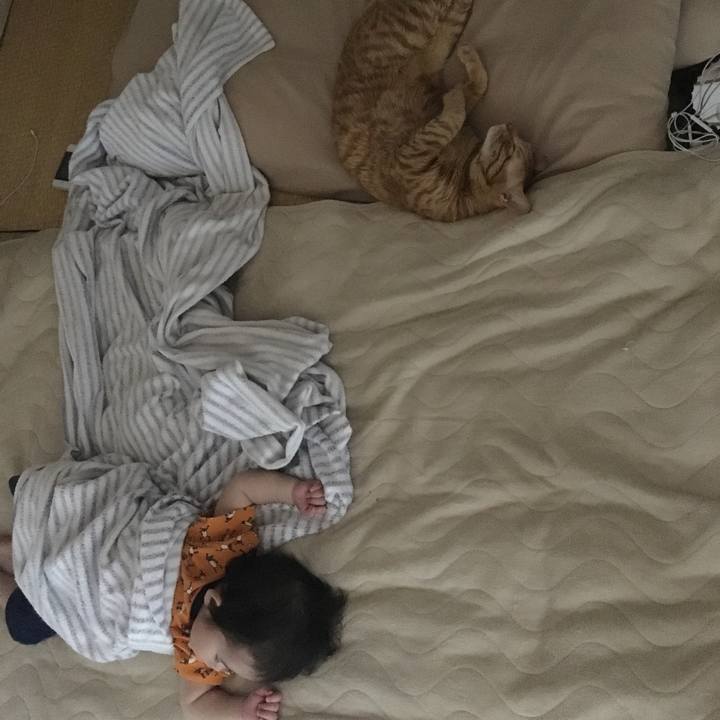 33c8807b d513 42cd 87cf df5b0b07f80a