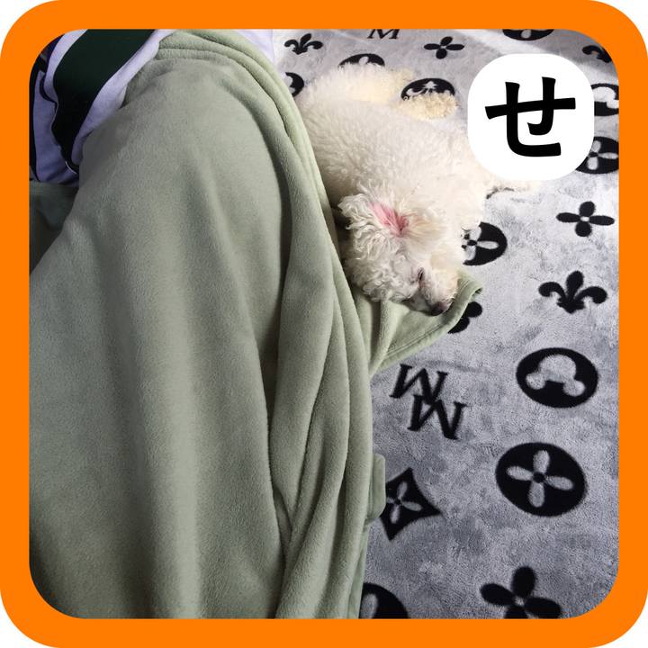 33c8e188 2766 46a7 9d8e c687c5d09dd9