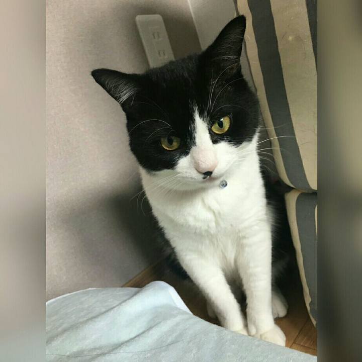 33c9b4b6 d957 4e6d bda2 8a4dff4f4bad