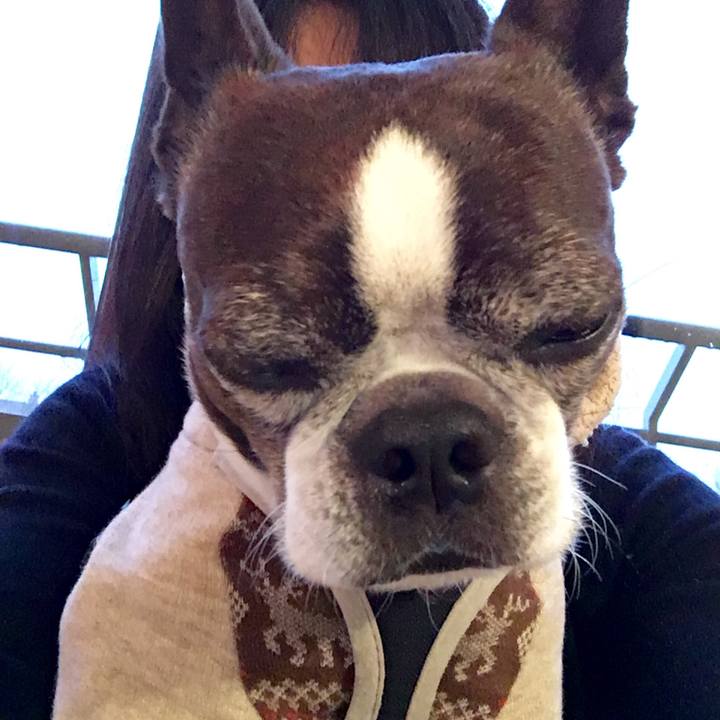 33caebb1 da3a 42e7 9e6d 0ada29a610b2