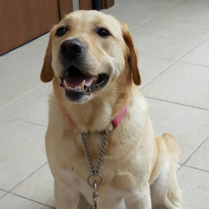 33cb4e55 be1a 47be bb9f fca3eab8e4e2