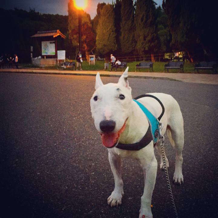 33cba838 57d2 46b7 bfba 33c04b2a7ff7