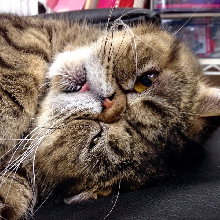 33cd1851 8747 4eac ba71 37a59b47173e