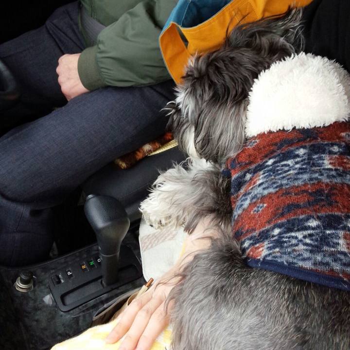 33cd3c51 e820 42c6 81c3 1eca2ba953b7