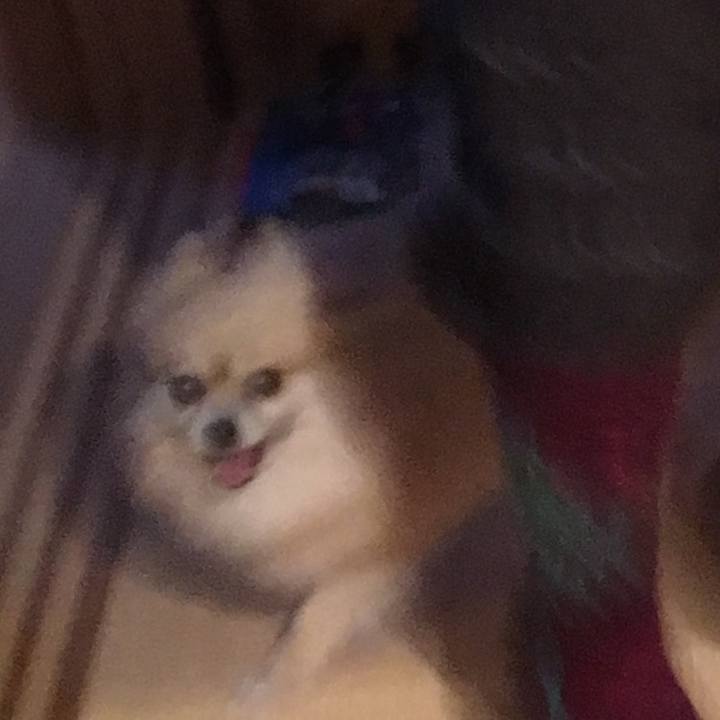 33cece2c 6581 4333 9d54 00633e52988b