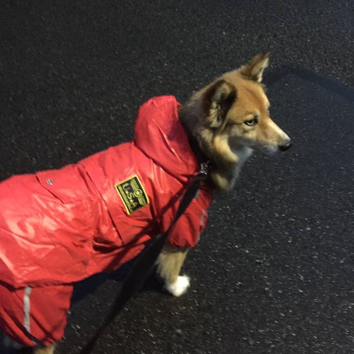 33cf8a41 8a4a 4e13 8152 f48eb7dcb2ab