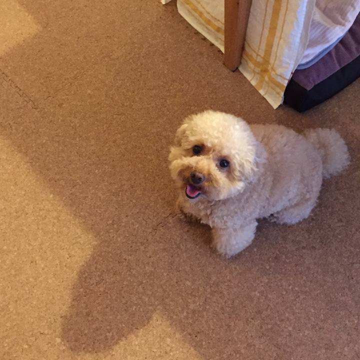 33cff3fb 7ef3 4efc a59f 993724b7a316