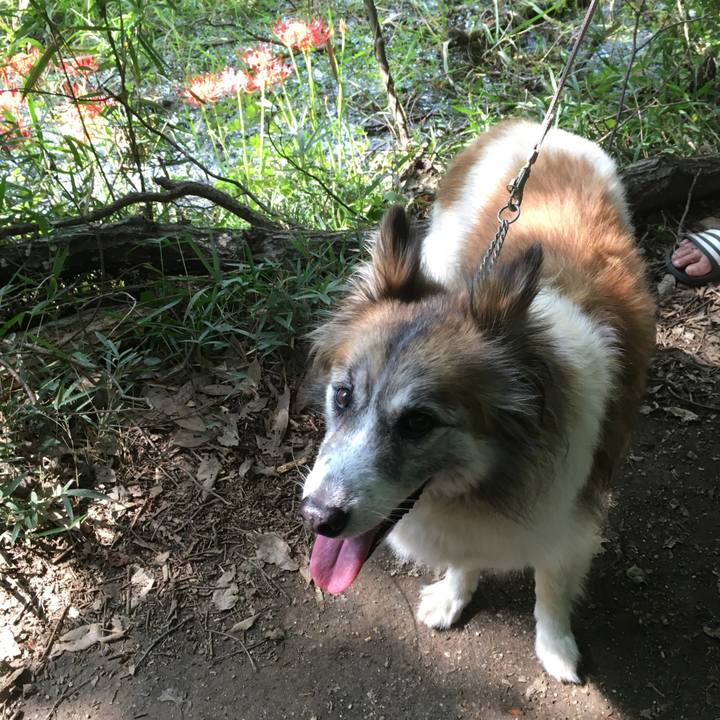 33d05ae6 10df 4ad2 ae4e 67fb1119a82d