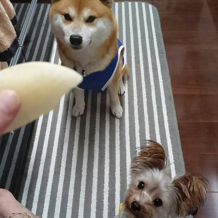 33d090f4 8682 452f 8a3a 75f4cb2d4a2e