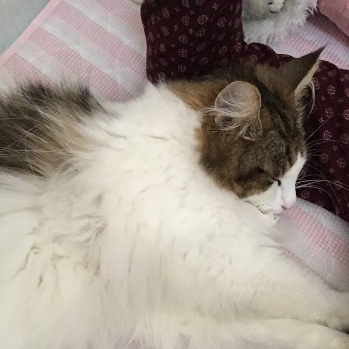 33d0c467 f423 4ef8 91af e6c04862bbd9