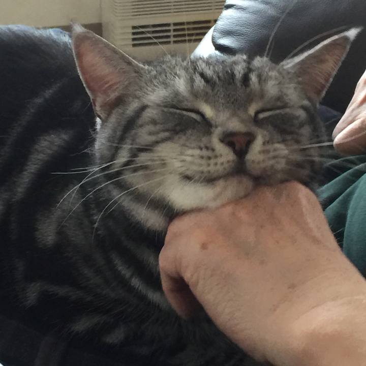 33d0f3ae d156 4762 9eec 35cb4b92b304