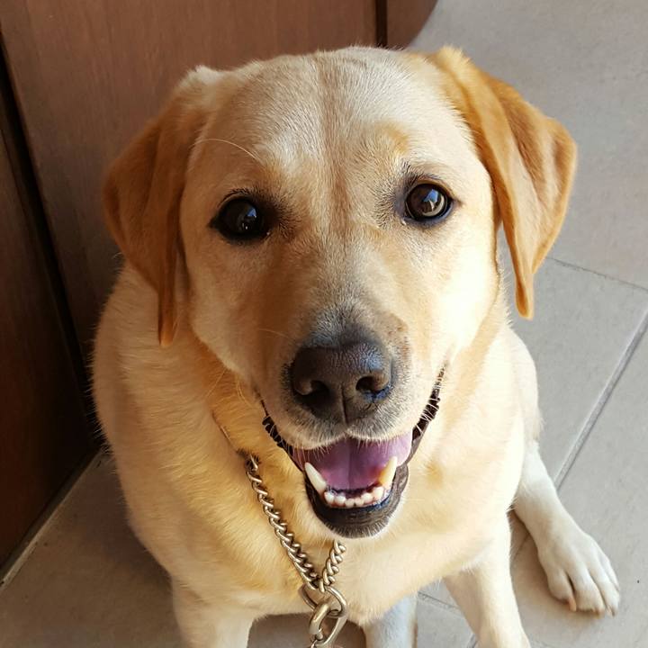 33d17808 7a1c 4cce 8a4e d7afca2b6bcf