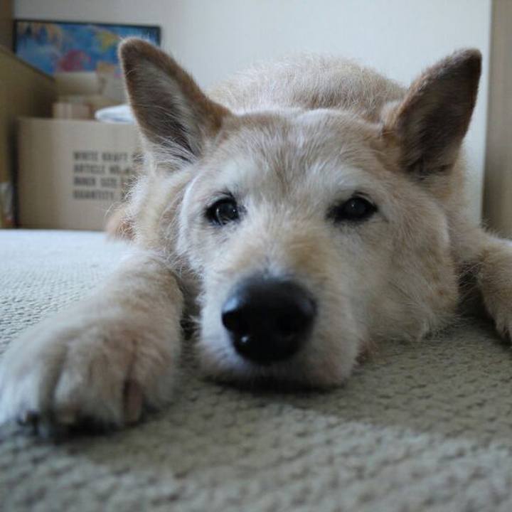 33d1a244 2587 48dd b6f1 7ed145b133e7