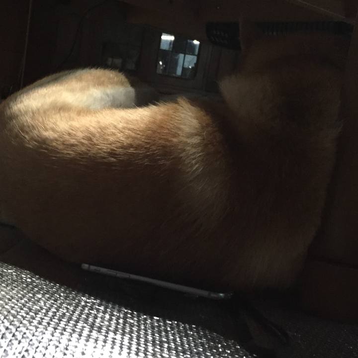 33d1b548 7198 4021 bb29 37d57f194524