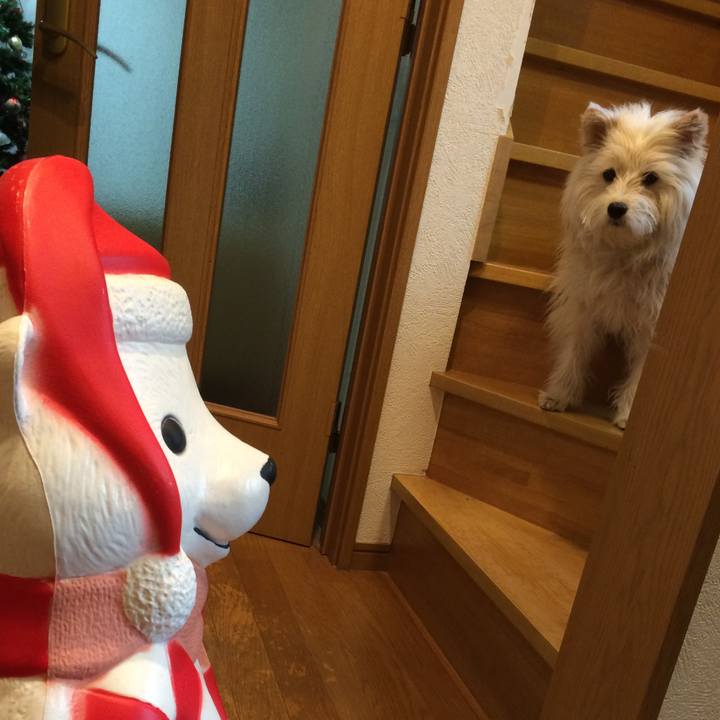 33d2424c 62d5 42ea 8a3e 8dc83904cece