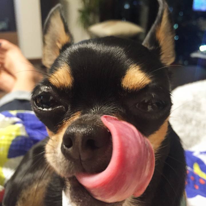 33d2f8c4 8612 487a 82b4 5fcce0176aa7