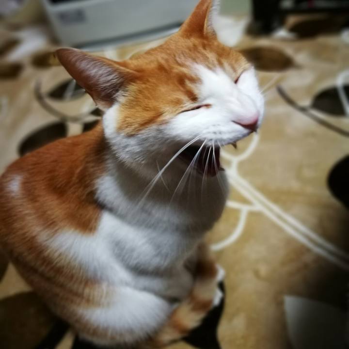 33d417ba 58f7 4862 9e6a 9064ca5f629f