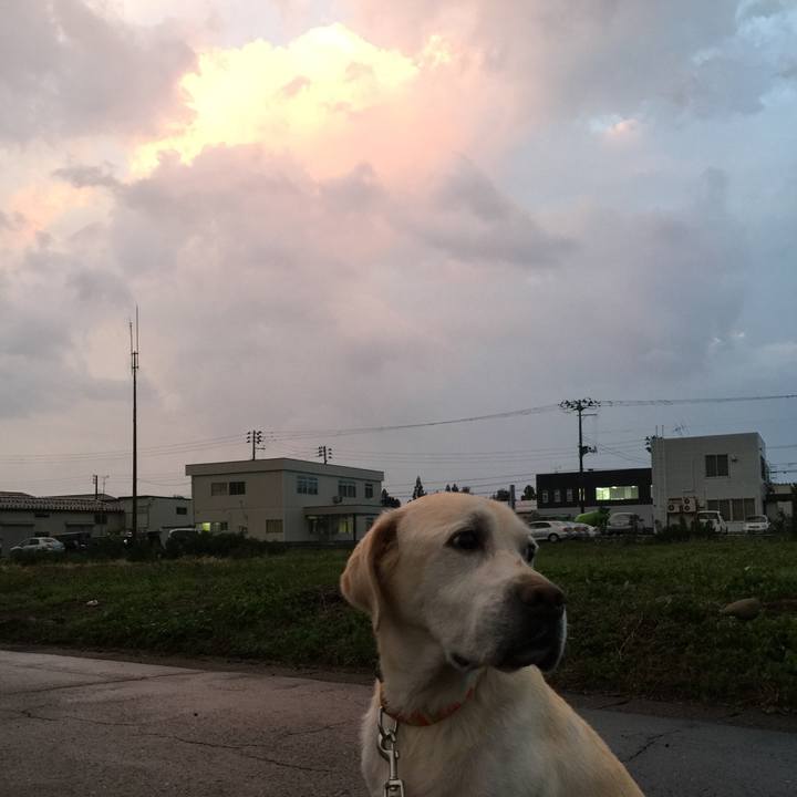 33d482ed 3bb9 470f b4dd b892af137816