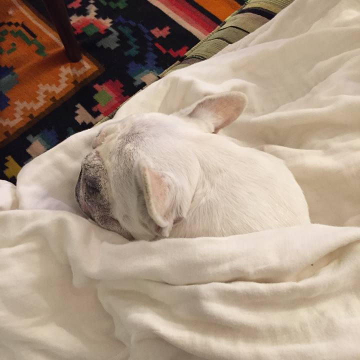 33d4eba7 42db 4f1f 9993 e93470b29189