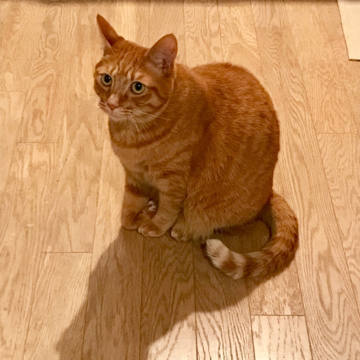 33d542b2 a55b 4671 af11 7f1883de2b86