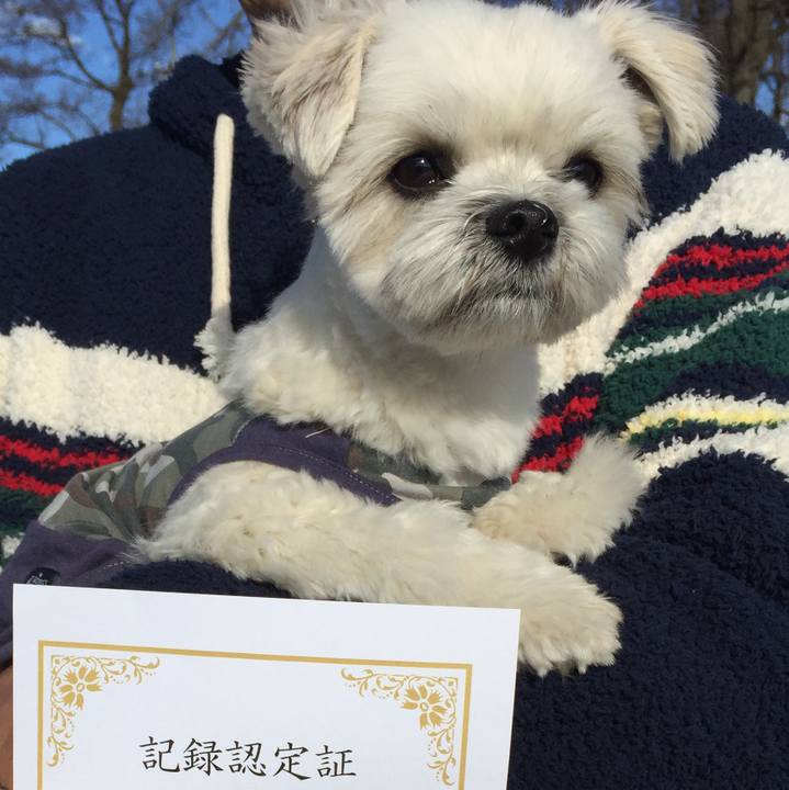 33d5d50f 169e 496c a0e2 cede0b4a4d05