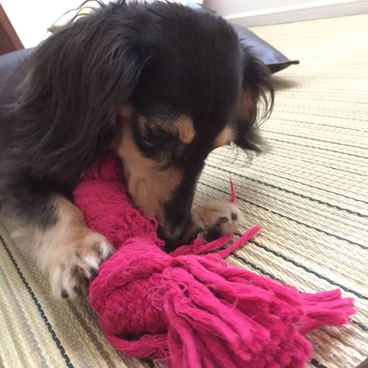 33d6967b 9f72 476a bf01 f06ae55f1b51