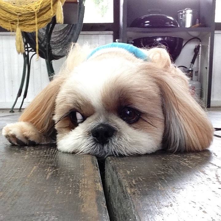 33d6a3ef ae10 4342 912e bd2dd65924c6