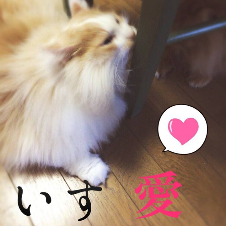 33d74e01 04bb 4944 a004 9c7b2e57b0f6